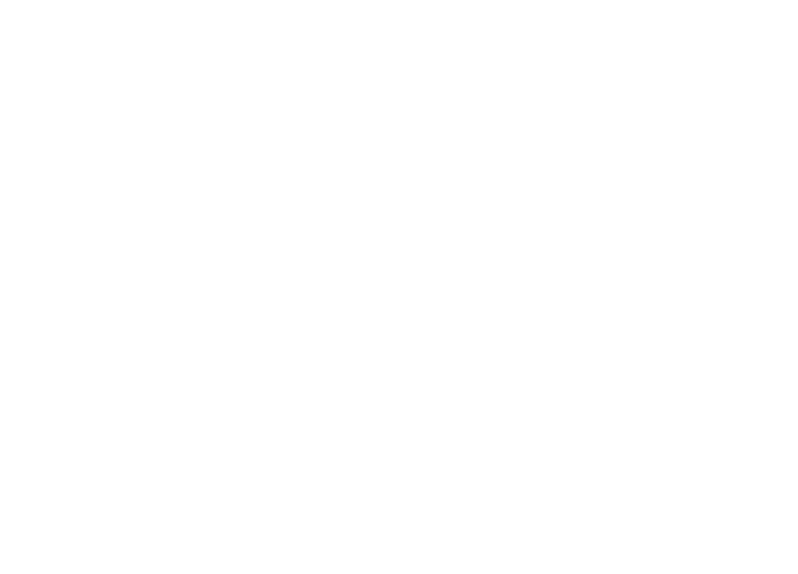 as company v3